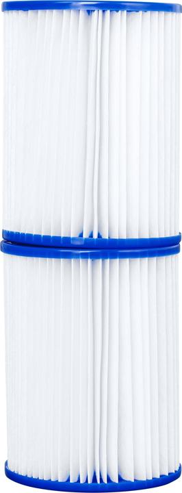 Actual product image Bestway filter cartridge