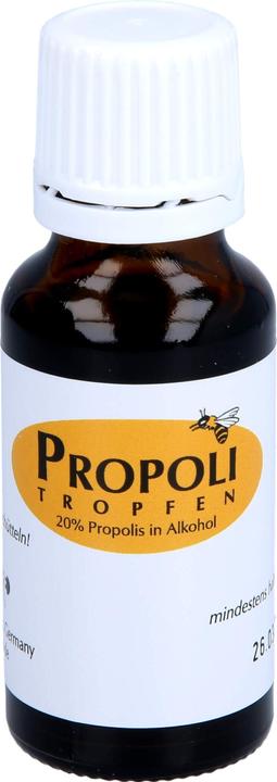 Immagine prodotto Remmele Tropfen 20 % in Alkohol (1 Pezzo/i, Goccia, 67 g)