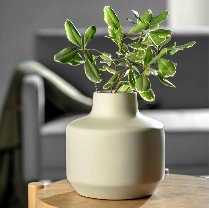 Immagine prodotto Leonardo Vaso Milano 22 cm, crema (1 x, 21 x 21 x 22 cm, 4 l)
