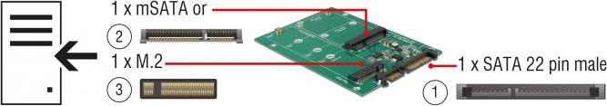 Immagine prodotto Delock 62670 Scheda/adattatore di interfaccia M.2 incorporato, mSATA