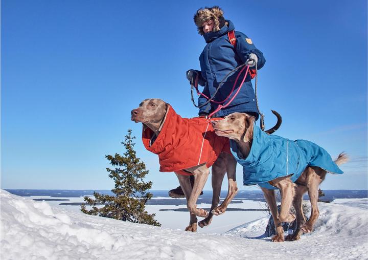 Immagine prodotto Hurtta Scaldino estremo V3 Eco Blue, 30 cm (30, Cappotto per cani)