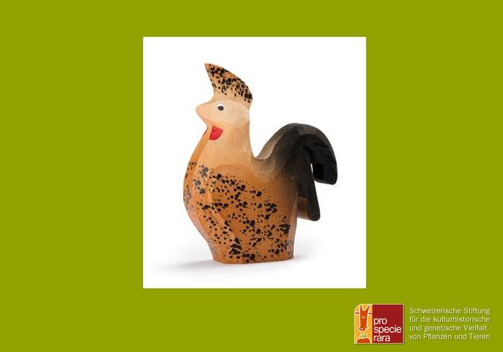 Produktbild Trauffer Appenzeller Spitzhaubenhuhn