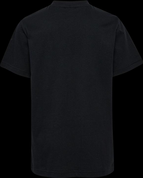 Actual product image hummel hmlTUKAS T-SHIRT S/S 2-PACK (104)