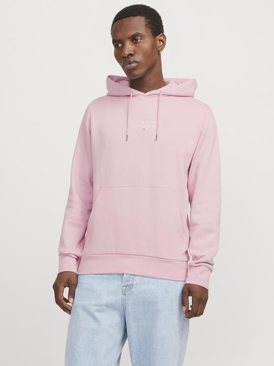Image du produit Jack & Jones Jprbluarchie Sweat Hood Noos (L)