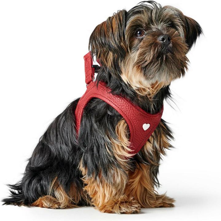Actual product image Hunter Harness Love 37-40/XS-S, red/black, dog size: S, XS (Dog, Walks)