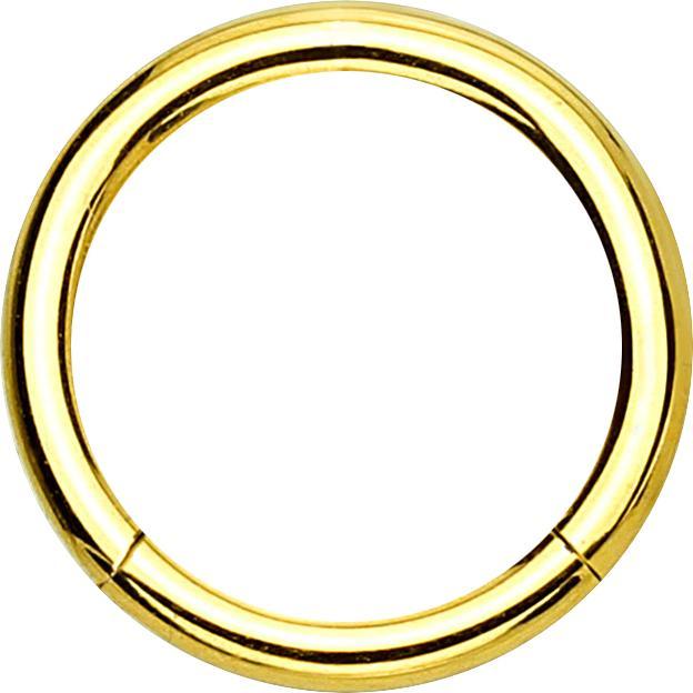 Actual product image Star Piercing Micro segment ring hinged gold plated (Surgical steel 316L, without brass)