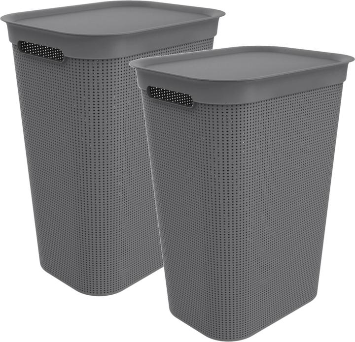 Image du produit Rotho Brisen (50 l)