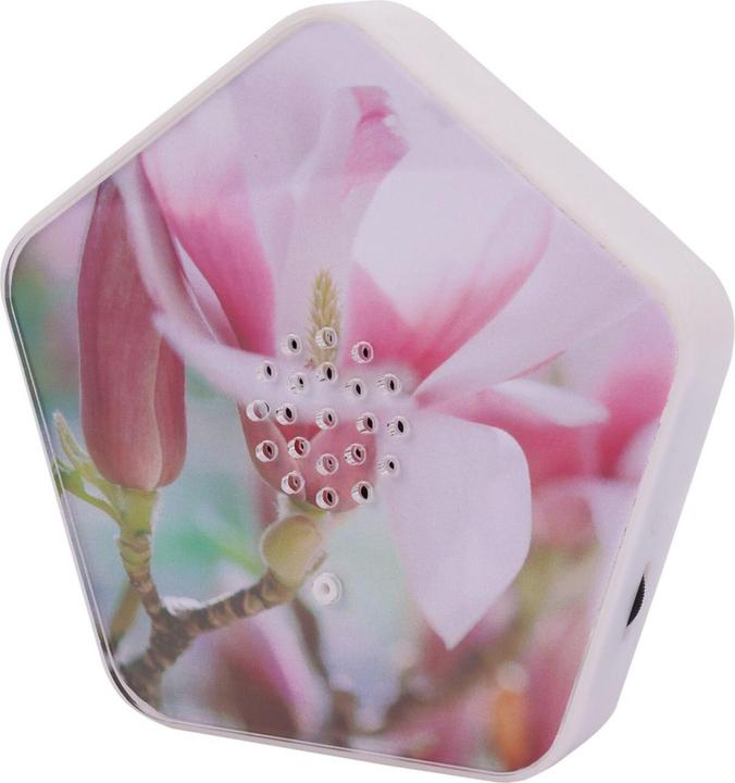 Immagine prodotto Olympia Olymp Nature BOX