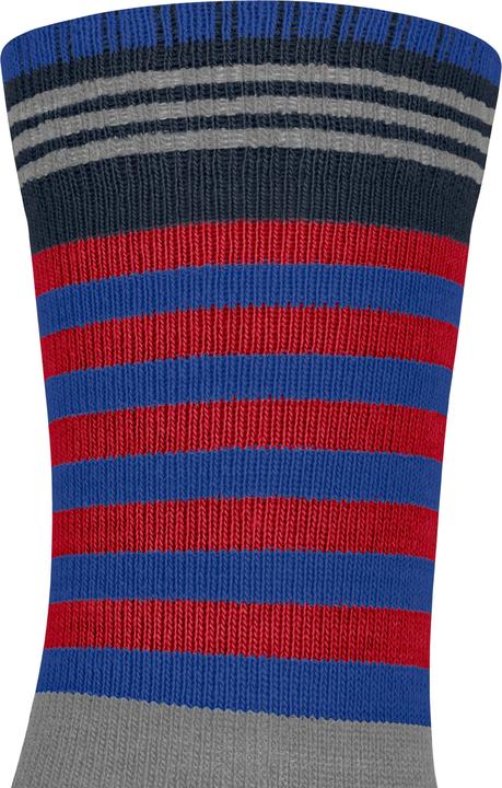 Actual product image Falke Active Frog Kids Socks (23 - 26)