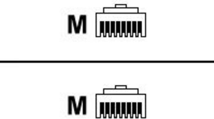 Actual product image Telegärtner MP8 FS 600 (S/FTP, CAT6a, 2 m)