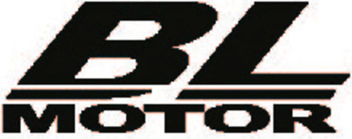 Produktbild Makita DLM460Z (Akkubetrieb)