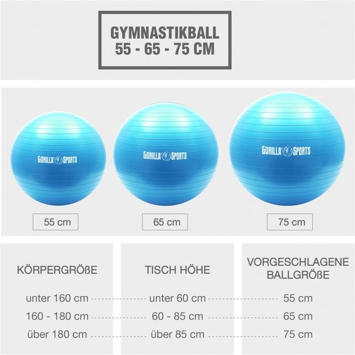 Immagine prodotto Gorilla Sports Palla da ginnastica (65 cm)