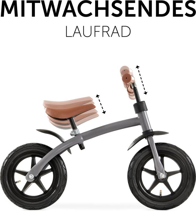 Immagine prodotto Hauck E Z Rider 12 Grigio opaco (12")