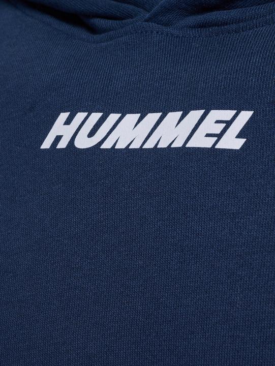 Image du produit hummel hmlELEMENTAL HOODIE (XL)