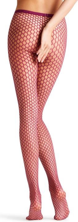 Actual product image Falke Craftcore Women (M/L)