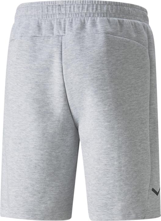 Actual product image Puma teamFINAL Casuals Shorts (XXL)