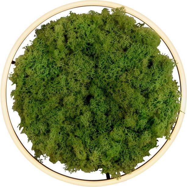Produktbild Leuchten Direkt Green Ritus (2650 lm)