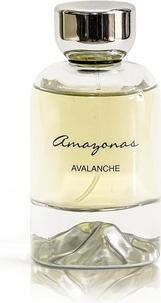 Immagine prodotto Atralia Equest Valanga di Amazon (Eau de parfum, 100 ml)