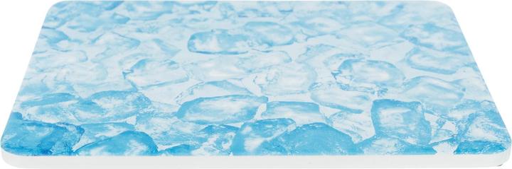 Actual product image Trixie Cooling plate for guinea pig