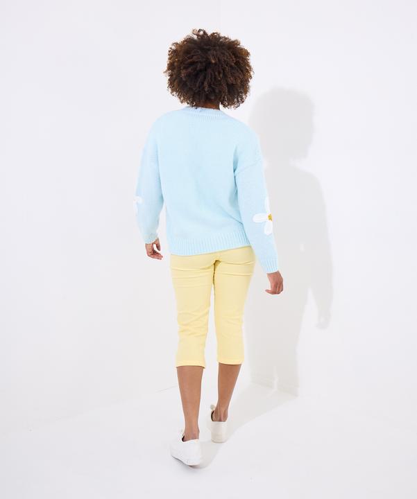 Produktbild Joe Browns Daisy Applique V-Neck Cardigan (36)