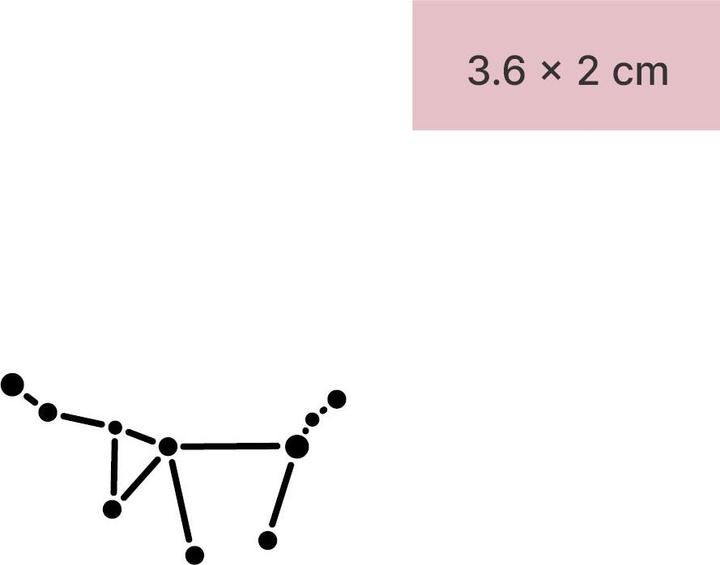 Actual product image minink Temporary tattoo - star constellation Capricorn