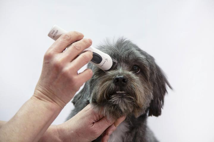Actual product image Aesculap Battery clipper Exacta (Dog)