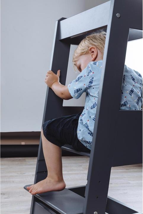 Actual product image Tissi Learning tower Felix