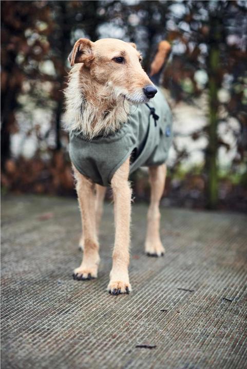 Image du produit Hunter Manteau pour chien Uppsala Trend (35, Manteau pour chien)