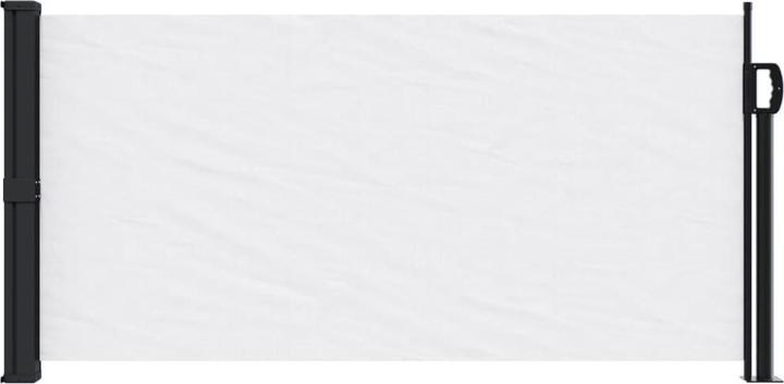 Actual product image VidaXL Extendable side awning (1 m)