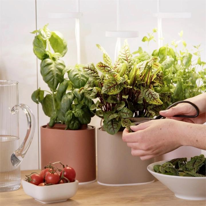 Immagine prodotto Prêt à Pousser Herb Pot Nano, Verde Celadon (13.50 cm)