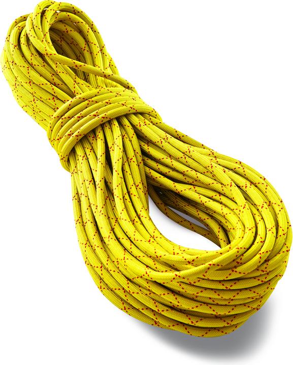 Actual product image Tendon SALAMANDER 102 static rope (60 m)