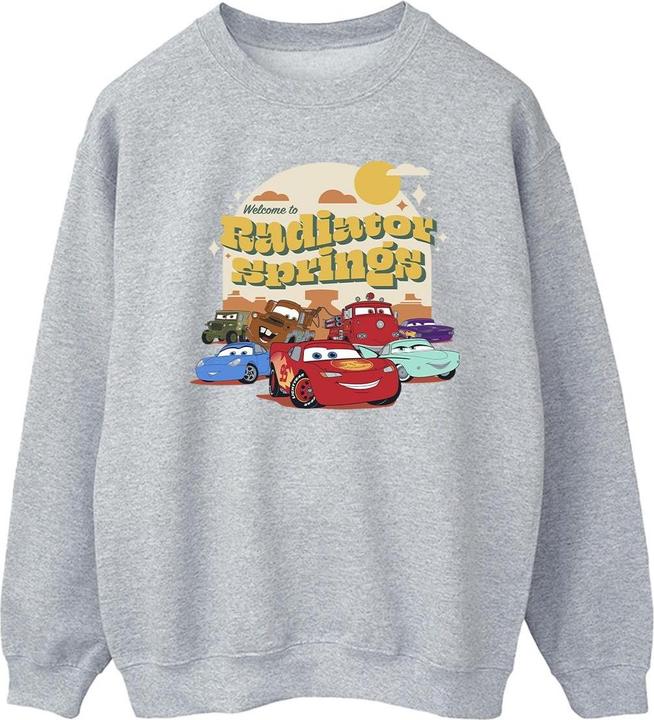 Produktbild Disney Cars Radiator Springs Group Sweatshirt (M)