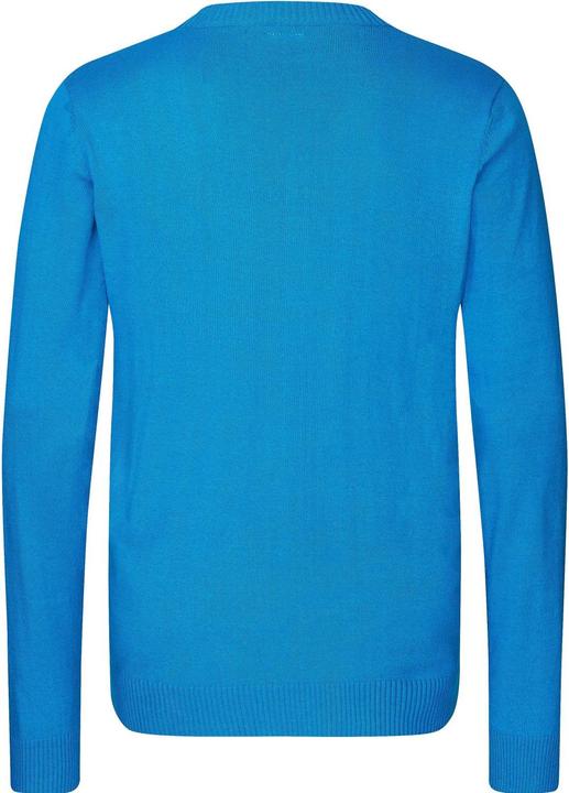 Immagine prodotto Foco Maglione invernale NFL in maglia Carolina Panthers - L (L)