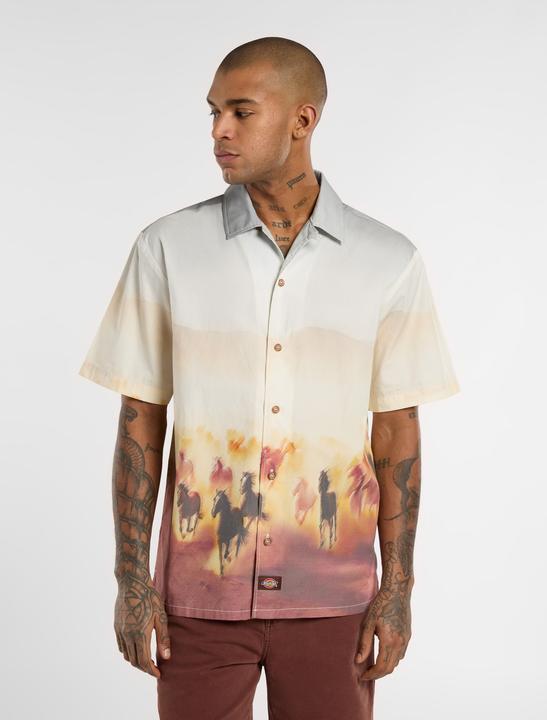 Actual product image Dickies Running Wild Shirt SS (M)