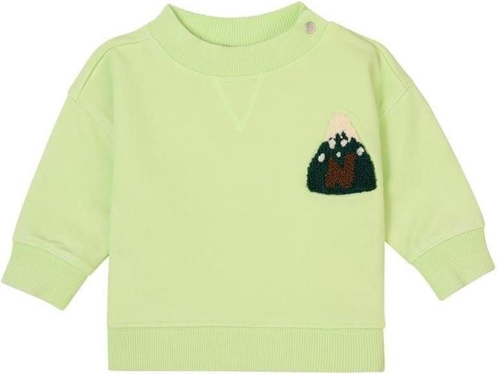 Noppies Baby Pullover Grasse