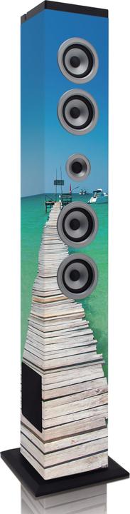 Actual product image Lenco IBT-6 Sea (Electrical connection)