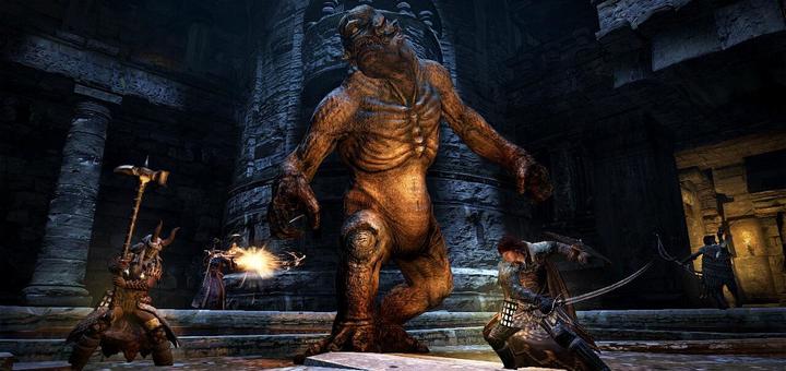 Image du produit Capcom Dragon's Dogma : Dark Arisen -US- (Switch, Switch Lite, Switch OLED, EN)