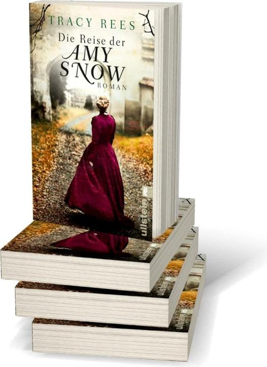 Image du produit Die Reise der Amy Snow (Allemand, Tracy Rees, 2017)
