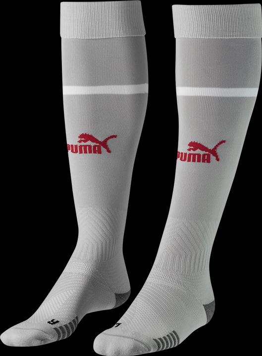 Produktbild Puma Team SFV Banded Sock Replica (43 - 46)