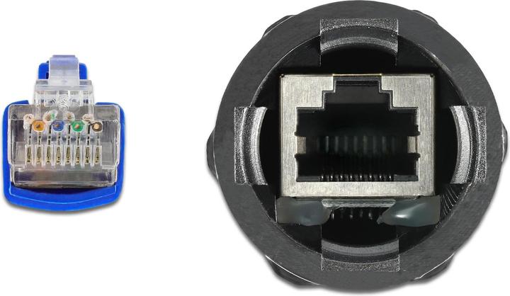 Actual product image Delock Cable RJ45 male to RJ45 female Cat.6 waterproof with cable gland (S/FTP, CAT6, 0.25 m)