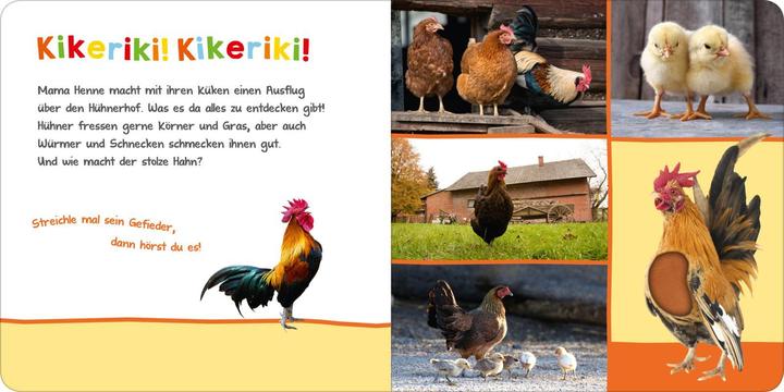 Produktbild Hör mal rein, wer kann das sein - Im Stall (Deutsch)