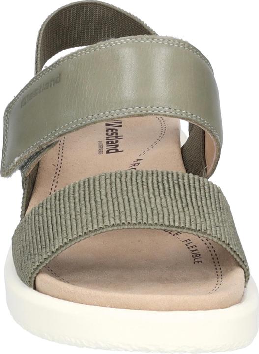 Immagine prodotto Westland 25407-410 (38)
