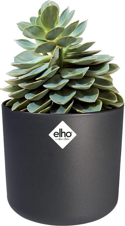 Actual product image Elho b.for soft (18.30 cm)