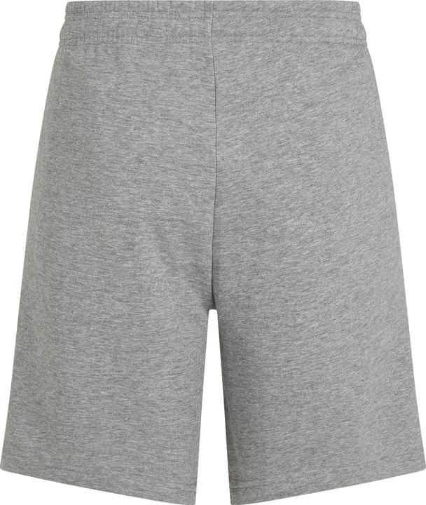 Immagine prodotto O'Neill The Future Surf Society Shorts (M)
