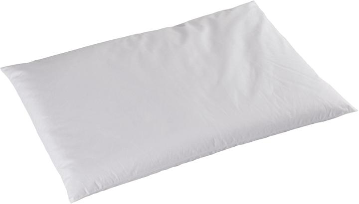 Actual product image DOR Kopfkissen Alivia Natur Hirse (40 x 50 cm)