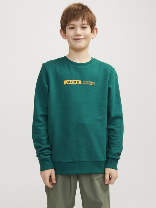 Image du produit Jack & Jones Imprimé Sweatshirt à col rond Pour les garçons Sweatshirt à col rond (176)