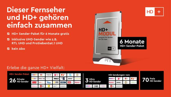 Actual product image HD+ HD+Module m.6 monthly pass (Nagravision, CI module)