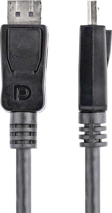 Actual product image StarTech DisplayPort — DisplayPort (3 m, DisplayPort)