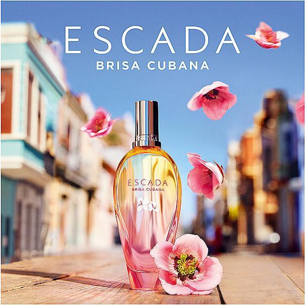 Produktbild Escada Eau de Toilette (Eau de Toilette, 50 ml)