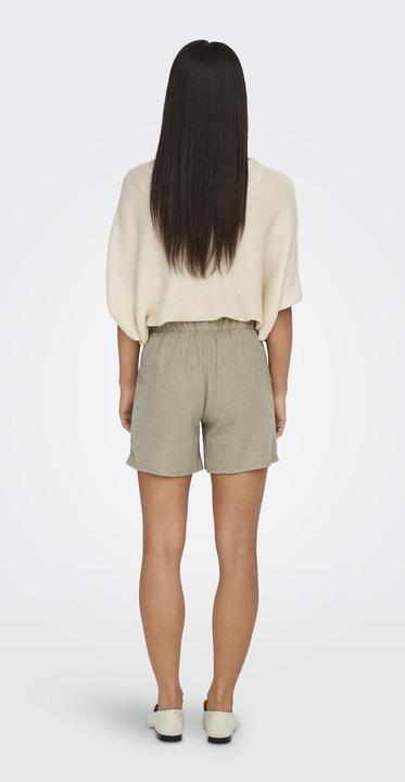 Actual product image JdY Regular fit shorts Shorts (S)